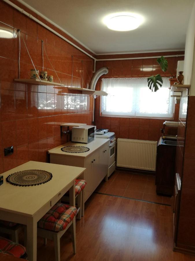 Sara Apartman Târgu-Mureş Zewnętrze zdjęcie