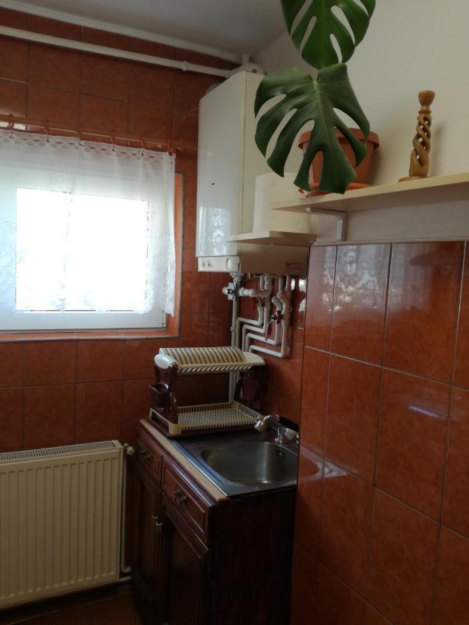 Sara Apartman Târgu-Mureş Zewnętrze zdjęcie
